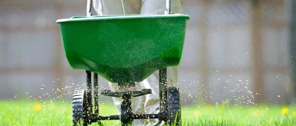 How & When to Fertilize Your Lawn in the Midwest